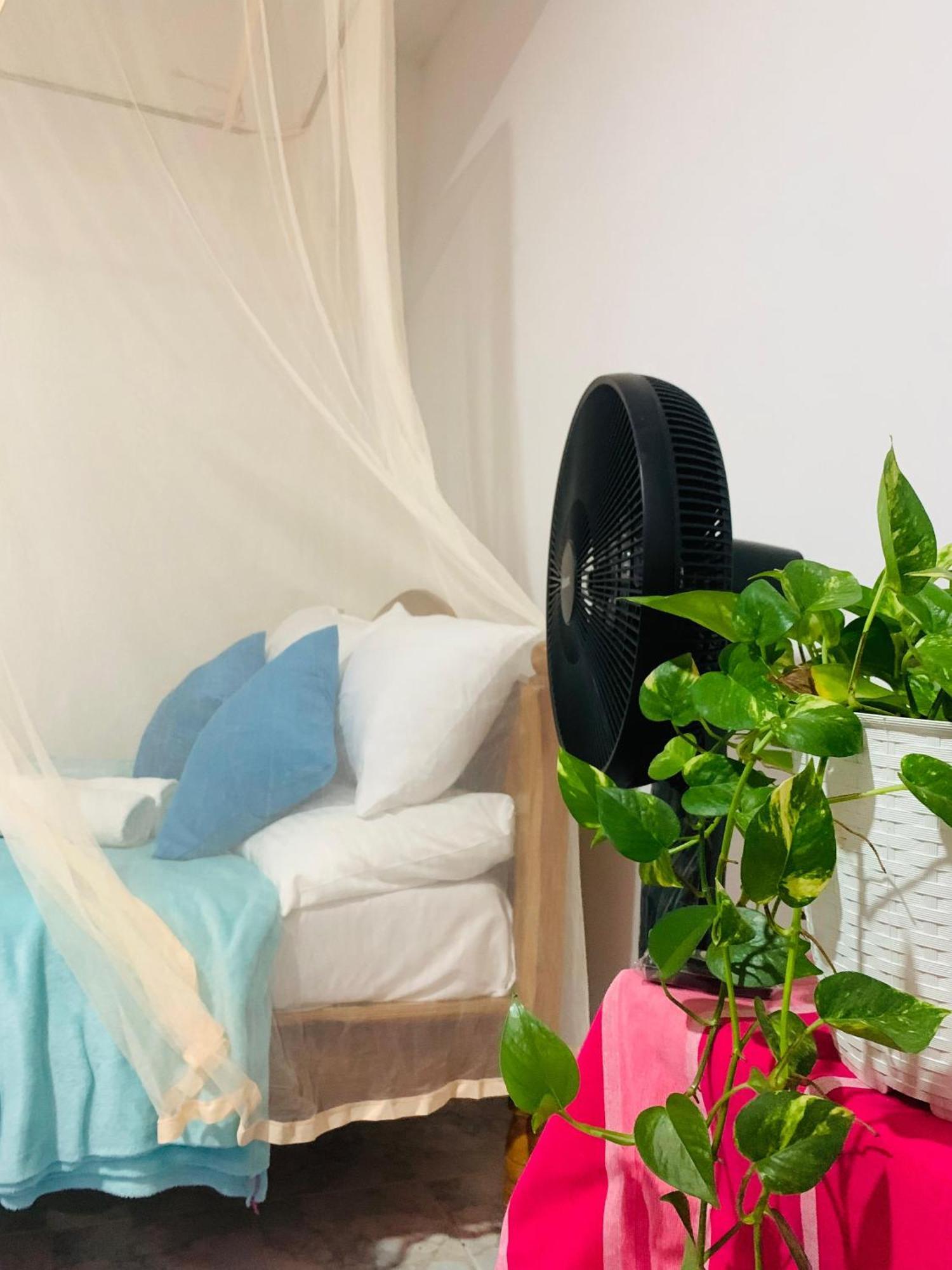 Meditation Monastery Stay Ела Екстериор снимка